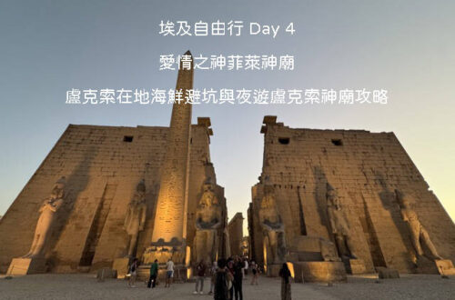 埃及自由行 Day 4｜阿斯旺未完成方尖碑、小島上的菲萊神廟、盧克索在地海鮮餐廳與夕陽下的盧克索神廟