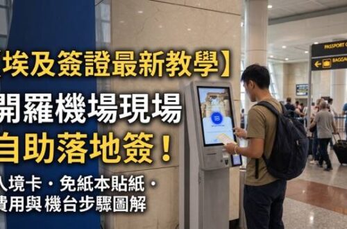 開羅國際機場落地簽自助機台畫面、QR Code 簽證紙與紙本入境卡填寫範本