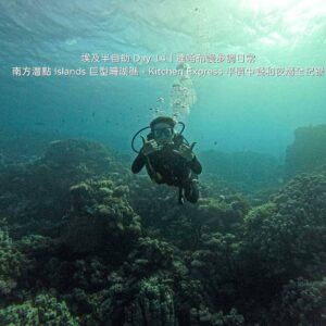 達哈布自由行 Day 14 行程：在南方潛點 Islands 巨型硬珊瑚礁群水下潛水與紅海生態
