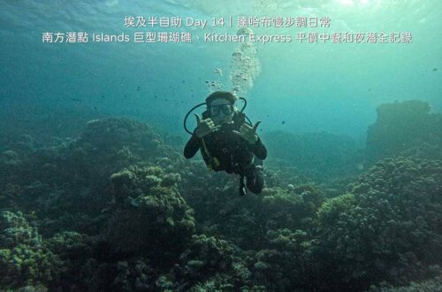 達哈布自由行 Day 14 行程:在南方潛點 Islands 巨型硬珊瑚礁群水下潛水與紅海生態