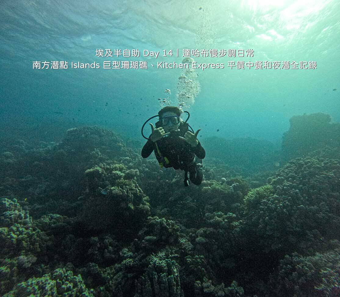 達哈布自由行 Day 14 行程：在南方潛點 Islands 巨型硬珊瑚礁群水下潛水與紅海生態