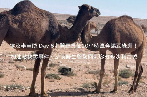 Day 6 行程：從開羅包車抵達錫瓦綠洲，傍晚登上刺客教條取景地沙利古城眺望沙漠彩霞夕陽