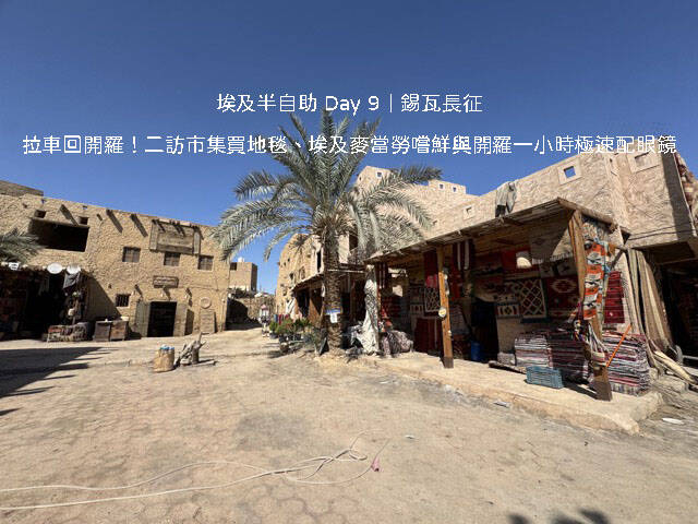 埃及半自助 Day 9 行程：從錫瓦綠洲長途包車拉車返回開羅市區公路風景與在地生活體驗
